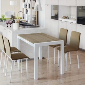 MESA INCAMOBILIARIO CORA