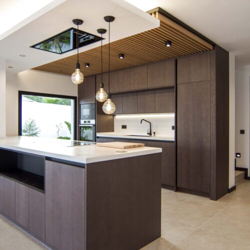 PROYECTO AERIDES (3)