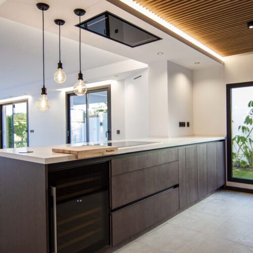 PROYECTO AERIDES (5)